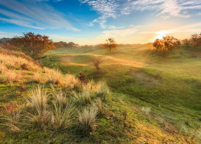 Tiny House Qudi By Interhome Tatil Evi *